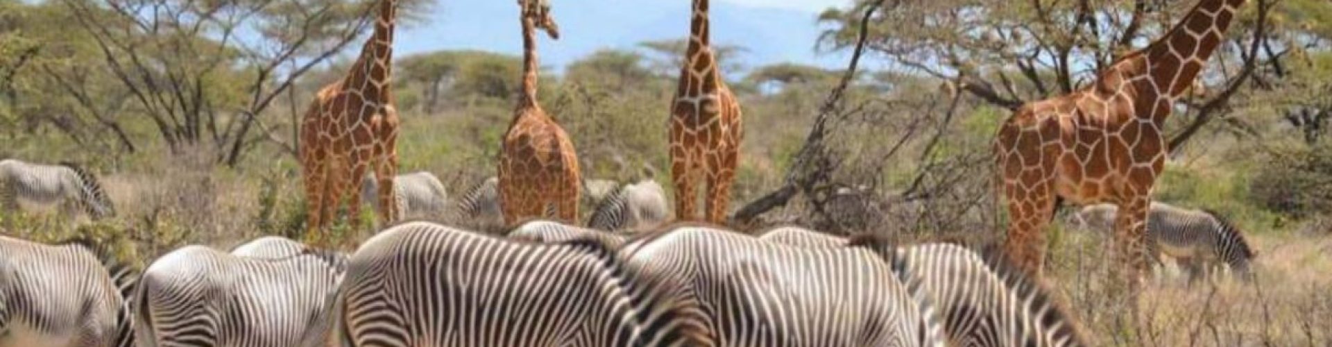 ?????????????????????????????????????????????????????????